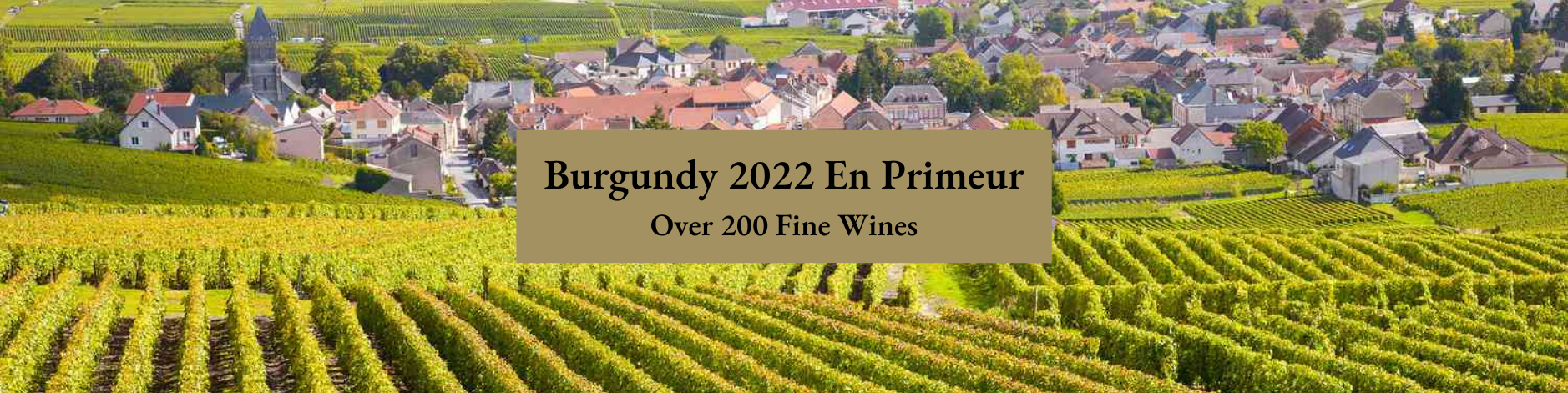 Burgundy 2022 En Primeur
