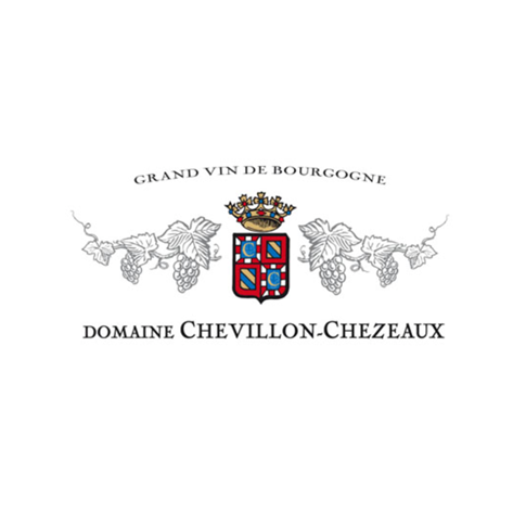 Nuits Saint Georges 1er Cru Champs Perdrix 2022, Domaine Chevillon-Chezeaux