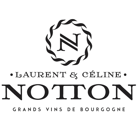 Chablis 2022, Domaine Laurent & Céline Notton