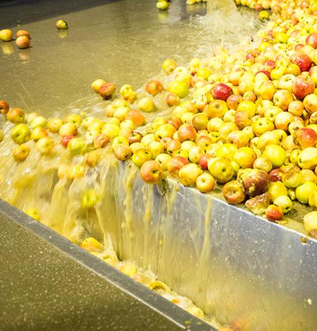 Hawkes, Urban Orchard Cider NV