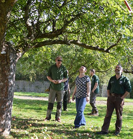Hawkes, Urban Orchard Cider NV