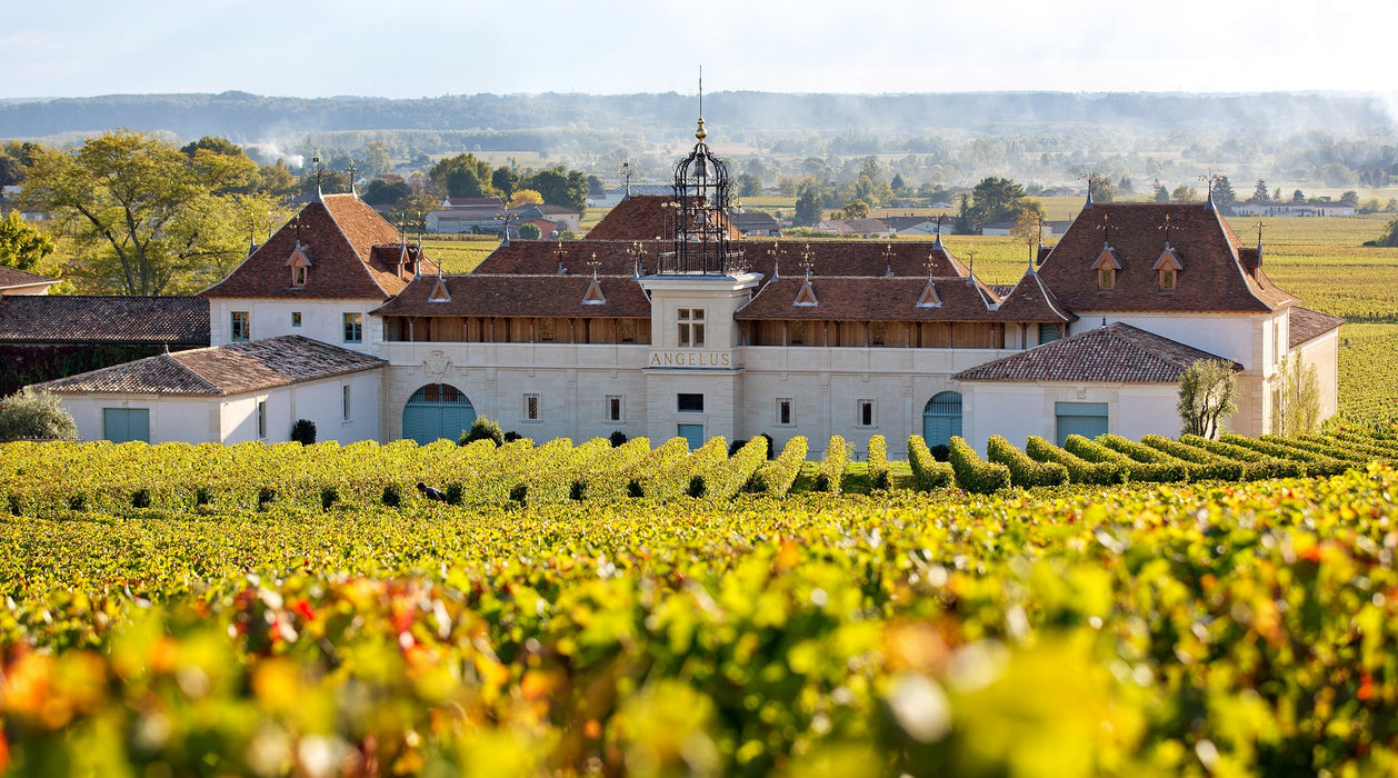 Château Angélus 2020