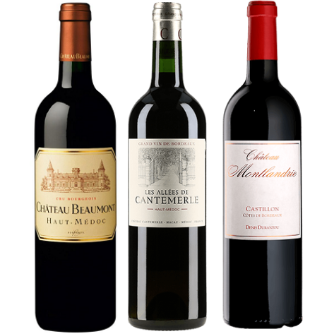 Bordeaux Premium 2016 - 12 Reds Wine Case, 90+ Points