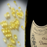 Dom Perignon 2010 - 6 Champagne Case